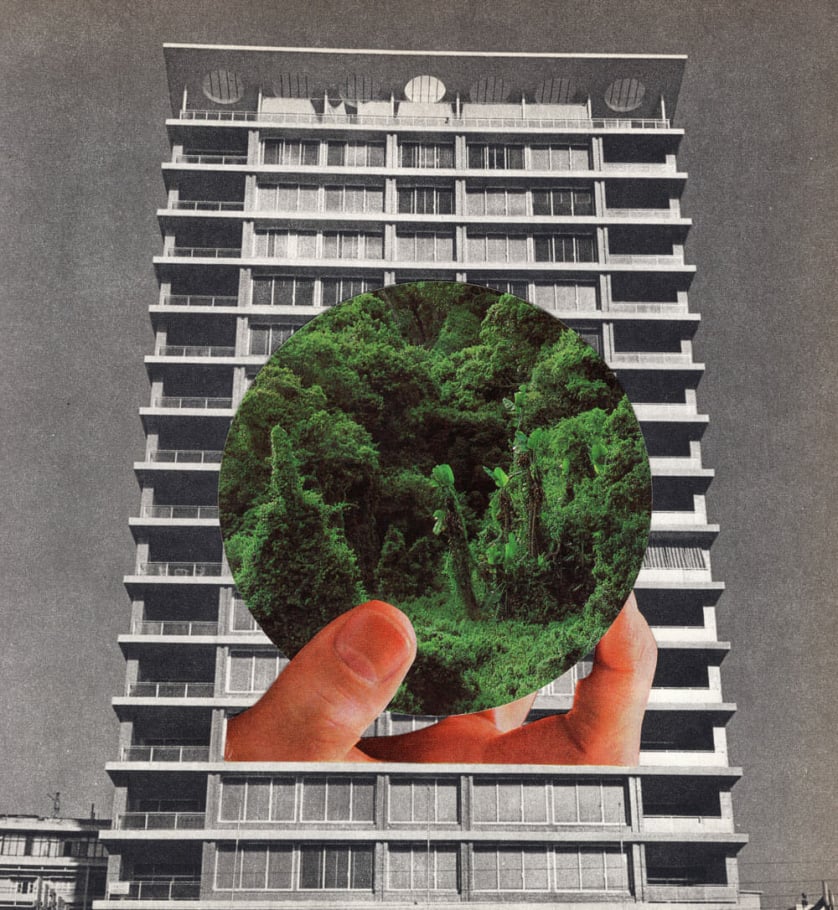 A hand holding a ball of bright vegetation is juxtaposed over a washed out apartment building block.