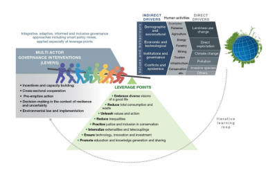 An infographic intended for government officials explains how to use “Multi Actor Governance Interventions” as “Levers” to exploit “Leverage Points” to influence “Values and Behaviors. ” A sense of despair settles in.