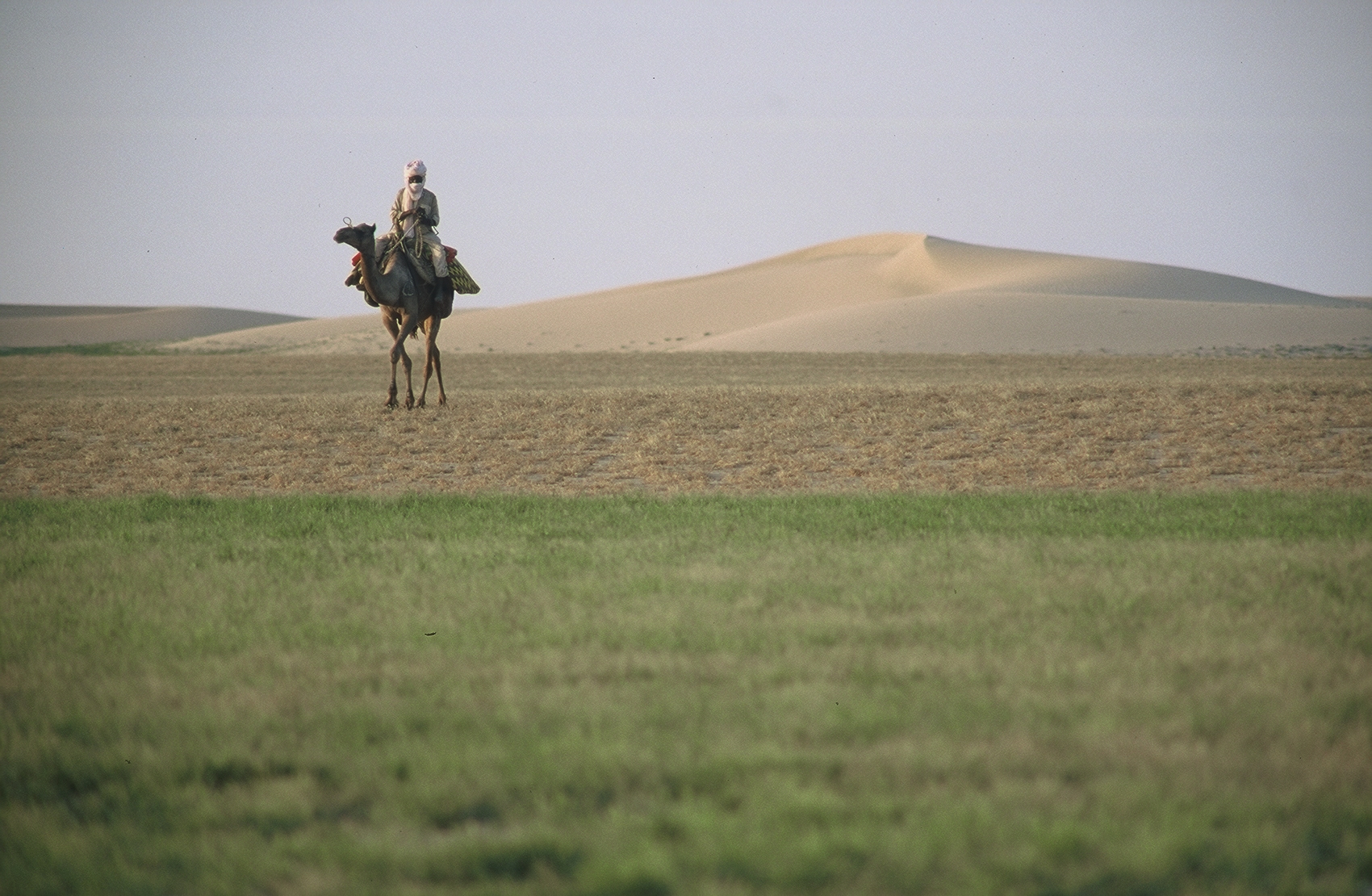 A man rides a camel across green ground in the middle distance. In the far background, the sands of the Sahara loom.