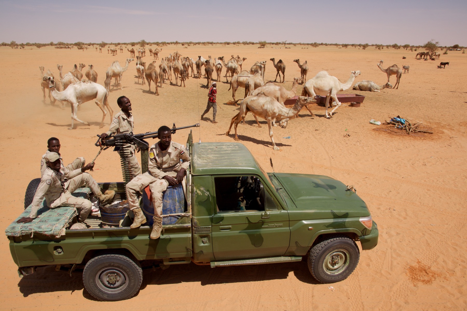 A group of soldiers riding in the back of a green pick-up truck mounted with a machine gun. In the background, a herd of camels.