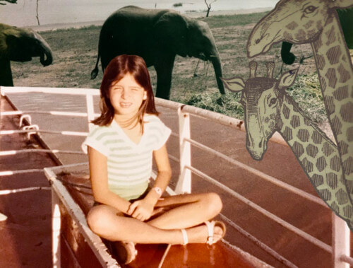 Art for At the Safari Carabobo.