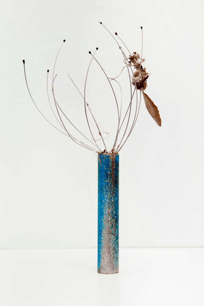 A photograph of an eroded metal head-scratcher stands on a white background, with dead weeds tangled in its prongs.
