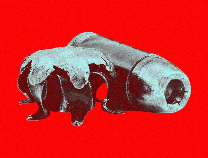 .40S&W cartridge next to expanded hollow point bullet.