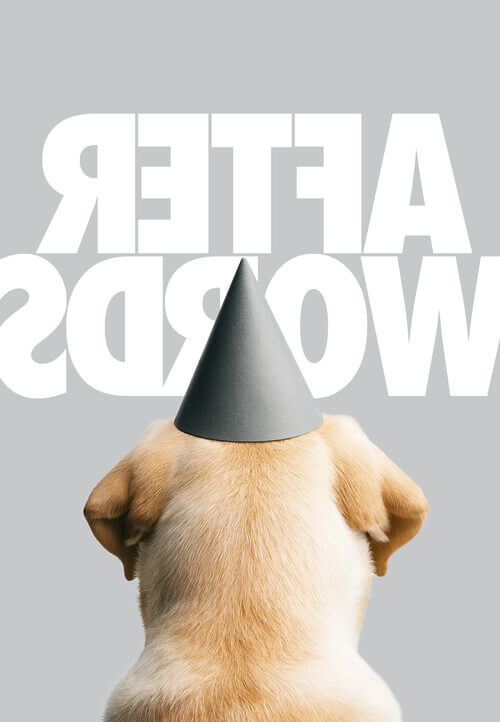The back of a yellow dog’s head, which is wearing a gray party hat, faces text that reads “After Words” backward on a gray backdrop.