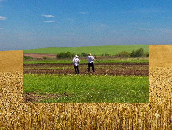Inset in a photo of an amber field of wheat, a second photo of two Ukrainian farmers tending to crops in a green field.