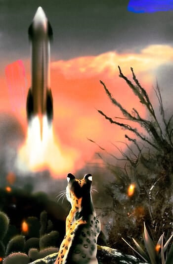 An ocelot sits in the wilds of a desert, watching a rocket launch up into the sky.